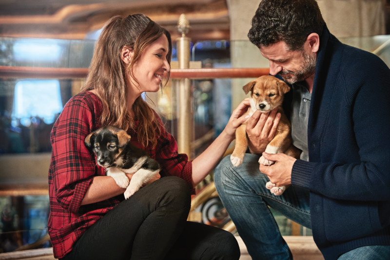 Sled Puppies on Ruby Princess